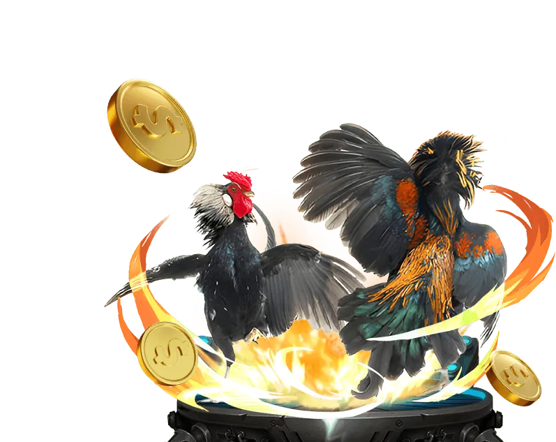 Các phương thức gửi và rút tiền tại hit culb